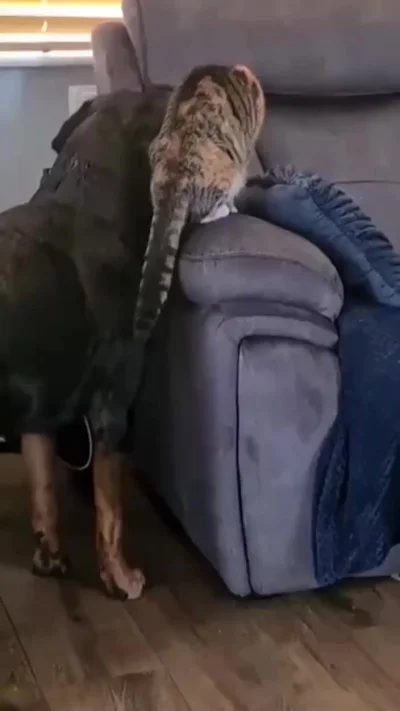 Теперь это мой ребенок