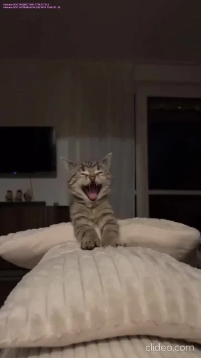 Готовимся к дневному сну