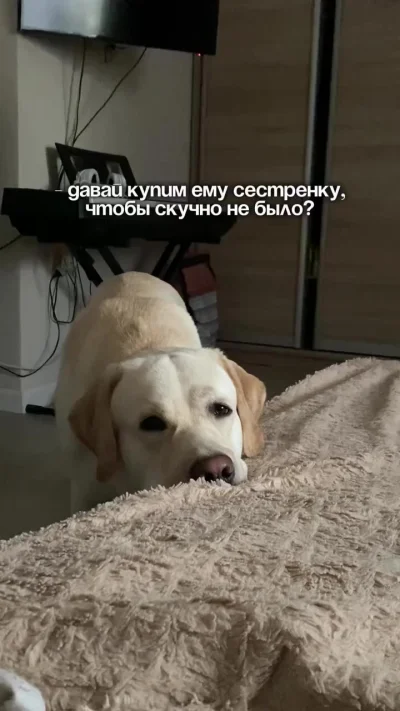 План провален