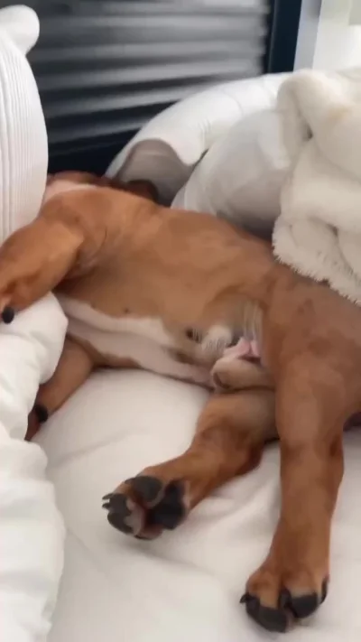 Я каждое утро