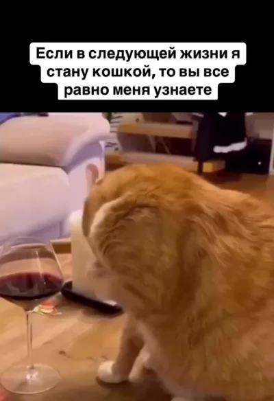 Вы всё равно меня узнаете