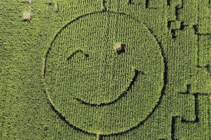 Получается всё вразнобой