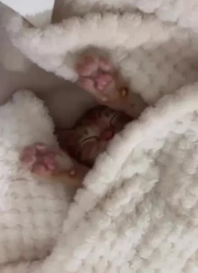 Просыпаемся