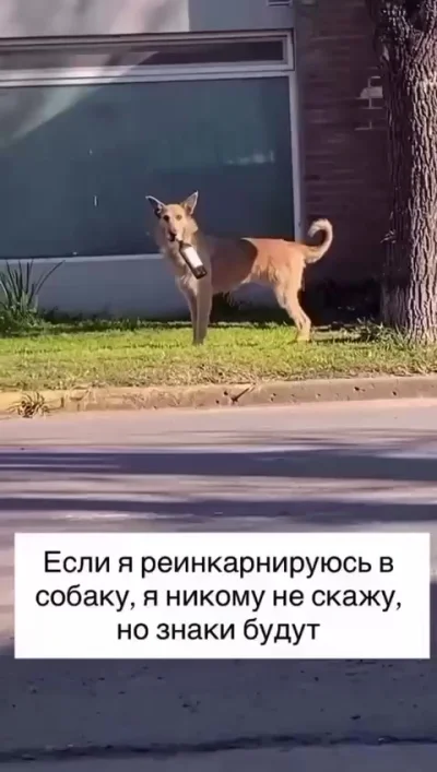 Знаки...