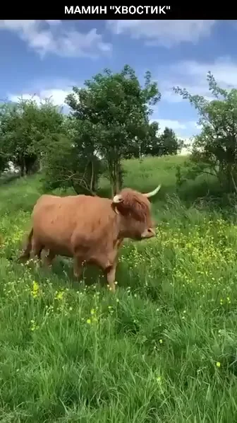 Детка)