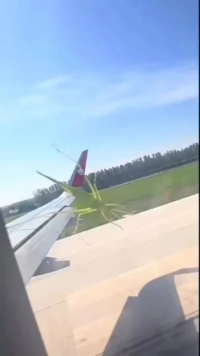 Косплей Тома Круза