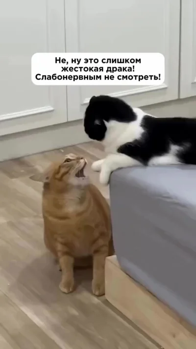 Бим бам бум