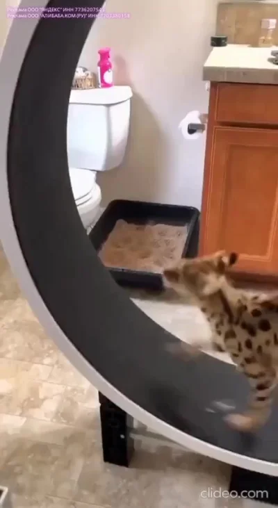 Как эпично сходить в туалет