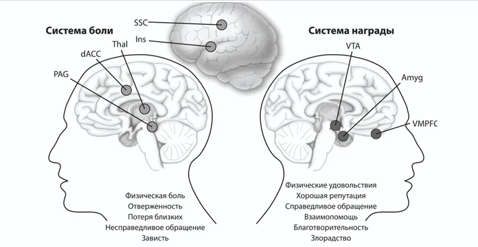 10 удивительных фактов, от которых перехватывает дух