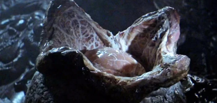 Необычные материалы