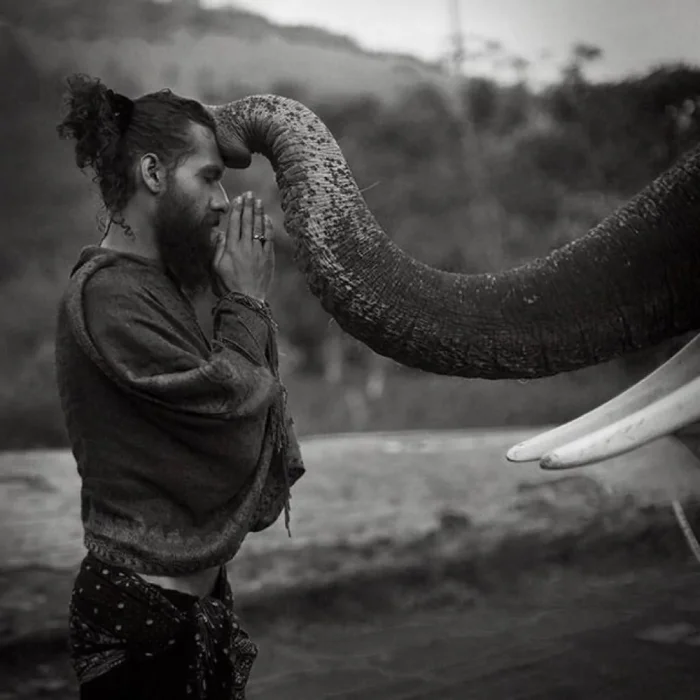 Намешалось: Красивые и интересные картинки