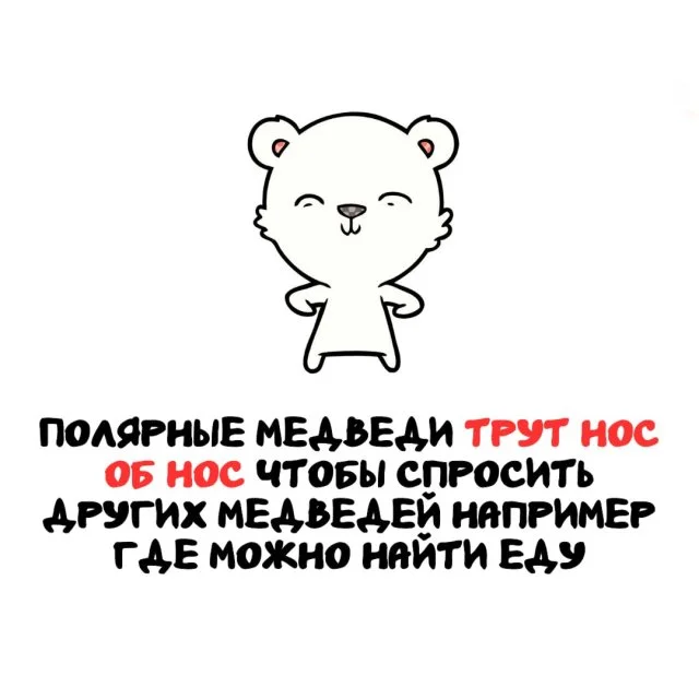 Занимательные факты обо всём на свете