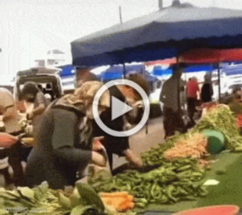 Разнообразные ГИФки #182