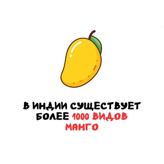 Подборка любопытных фактов на каждый день