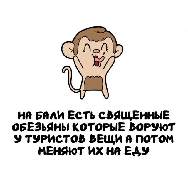 Подборка любопытных фактов на каждый день