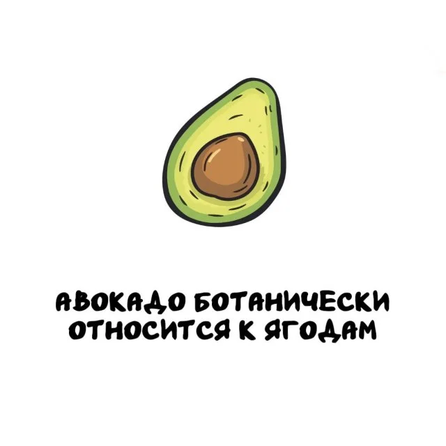 Коллекция знаний: любопытные факты для каждого