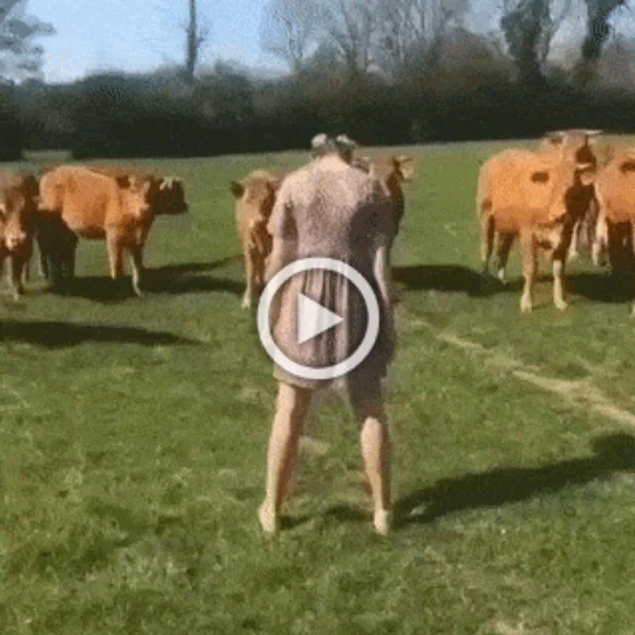 Разнообразные ГИФки #184