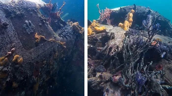 Дайвер обследует затонувший самолет компании Air Panama