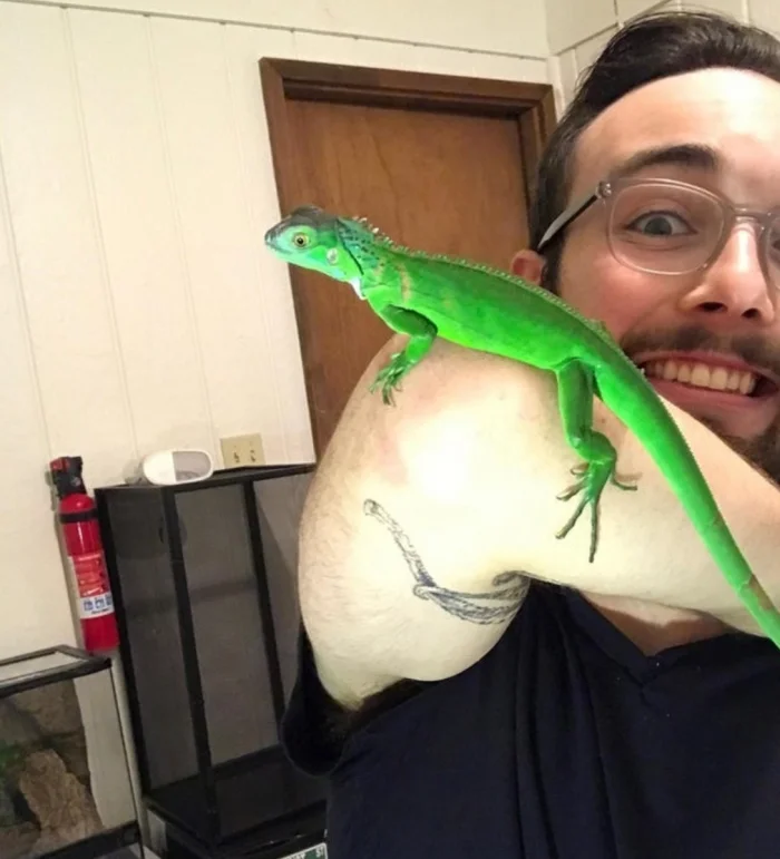 Реальность или монтаж? 18 фото, похожих на фотошоп