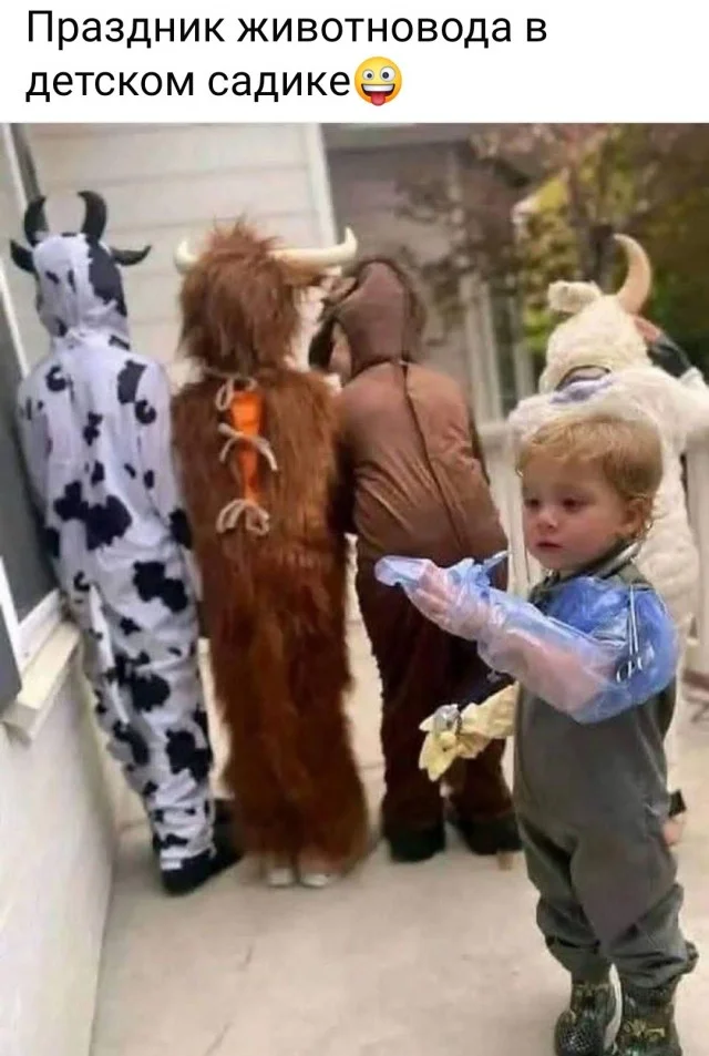 Просто картинки