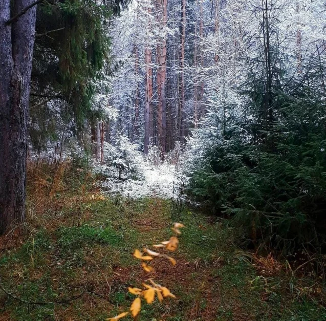 Картинки всякие