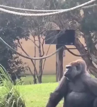 Немного флирта...