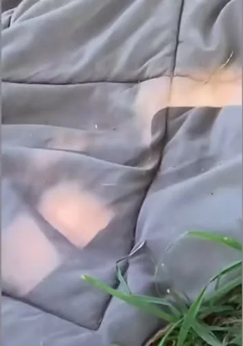 Модная козочка