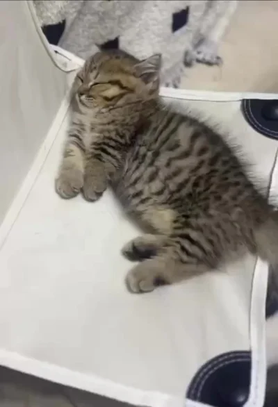 Просипаемся :3