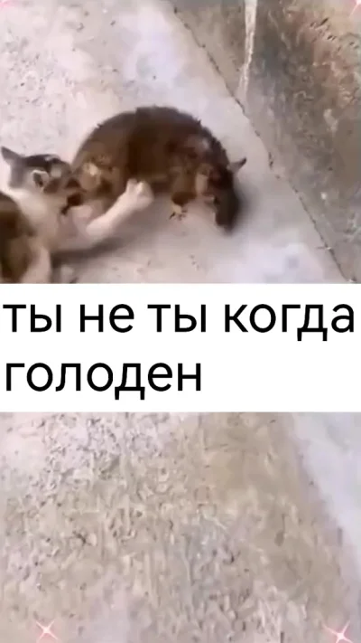 Так выглядит настоящий голод