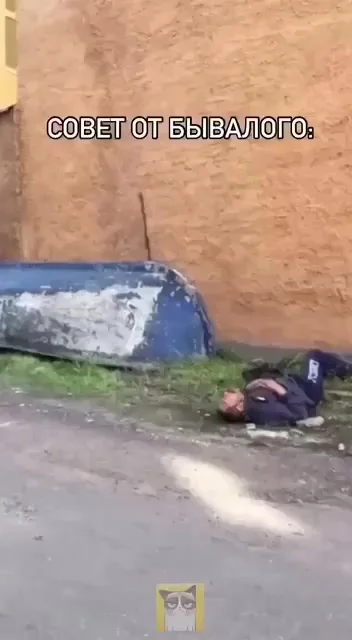 От них самые лучшие советы