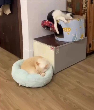 Есть только два состояния