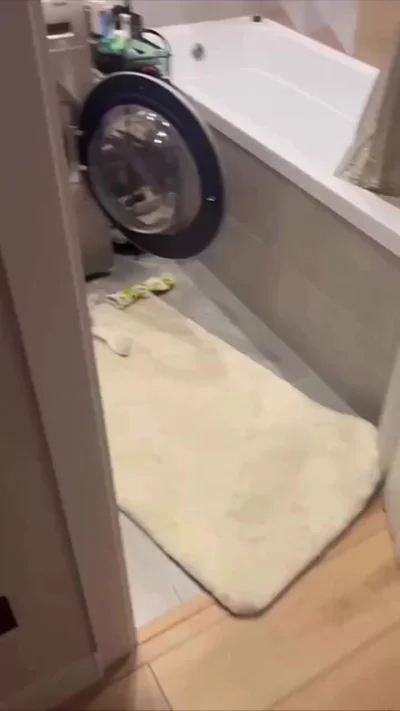 Находчивый