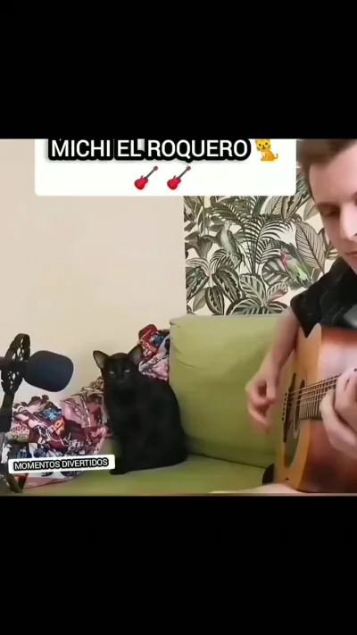 Музыкальные способности