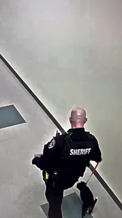 Сегодня я НЕ служебная собака