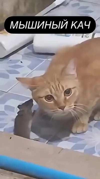 Ну смешно же