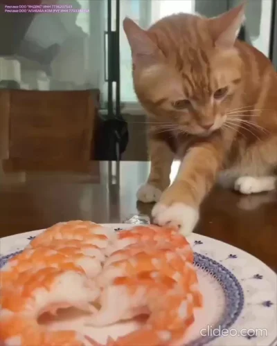 Оп, креветачька, ты уходешб со мной