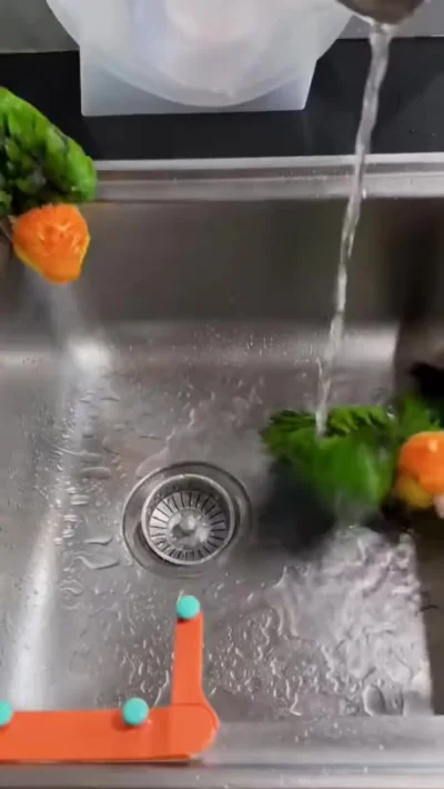 Купание попугаев