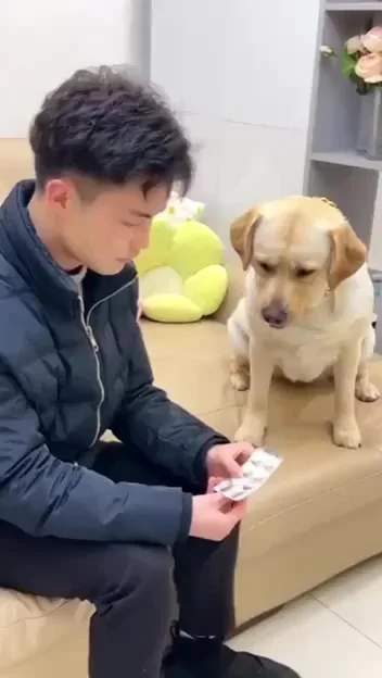 Больше даже не подходи ко мне