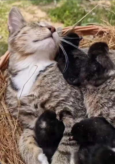 Приемная мама