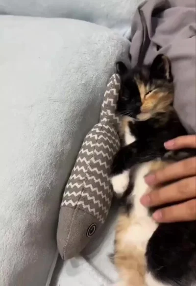 Проснулись - потянулись