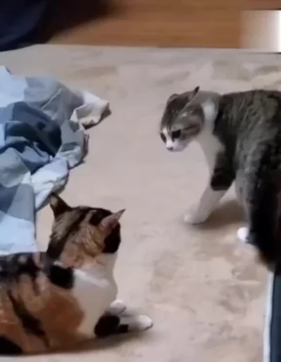 Смотри какой я грозный!