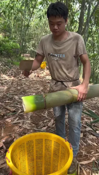 Режем молодой бамбук