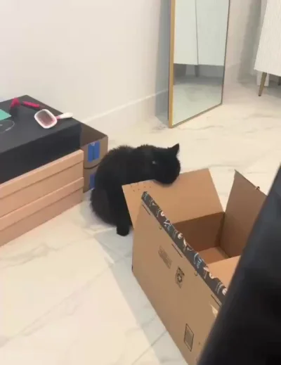 У нас уже есть дырокол дома. Дырокол дома: