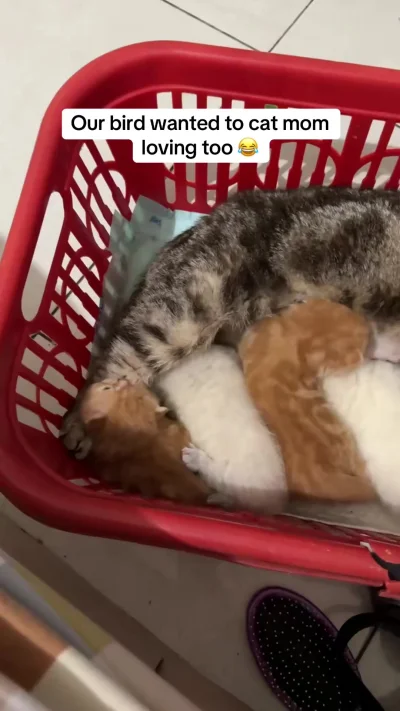 Нашёл себе хорошую компанию)