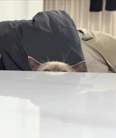 Охота началась