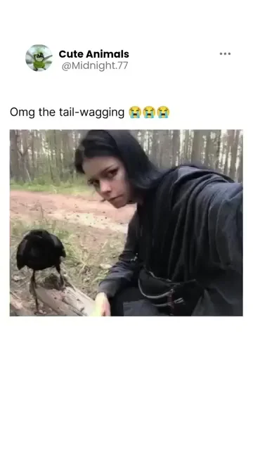 Разговор с вороном