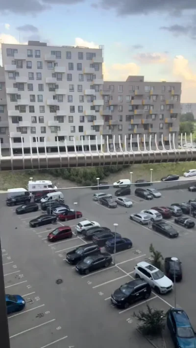 Метод против голубей "колхозный" конечно, но главное что рабочий