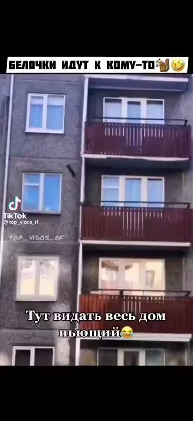 Белочки