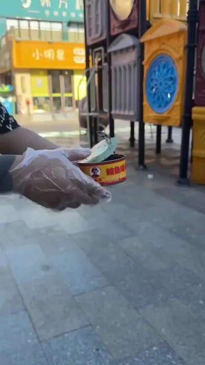 Сюрстремминг