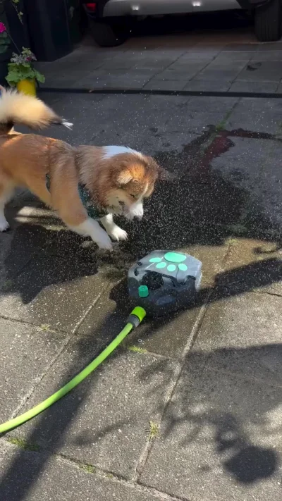 Освоение новых технологий